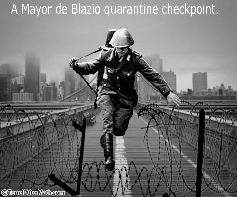 ny-checkpoint2webcr-8-11-20_orig.png